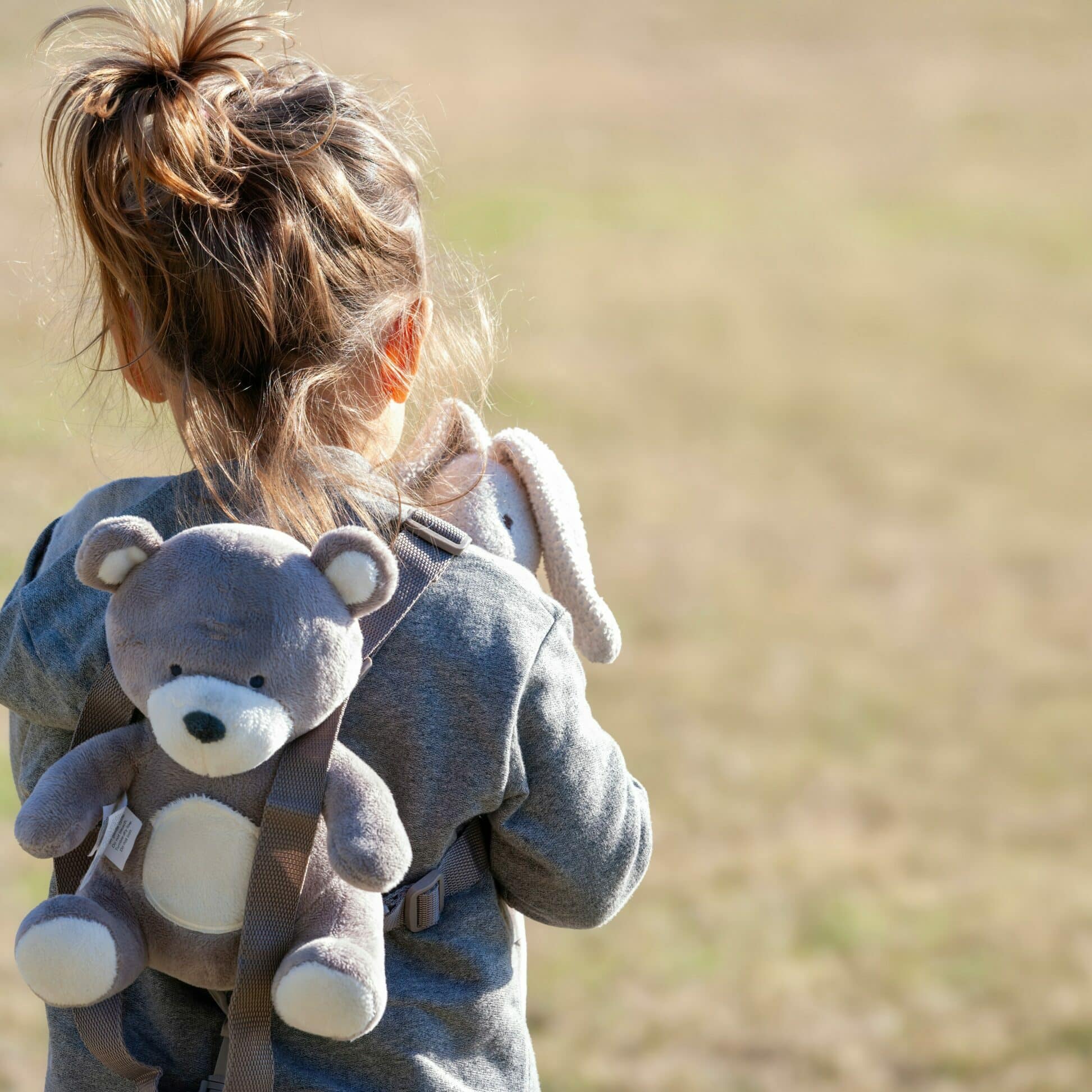 a little girl holding a teddy bear in a field